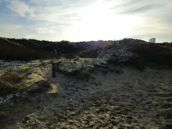 Oostnieuwkerke duinen wandeling in de koude (België)